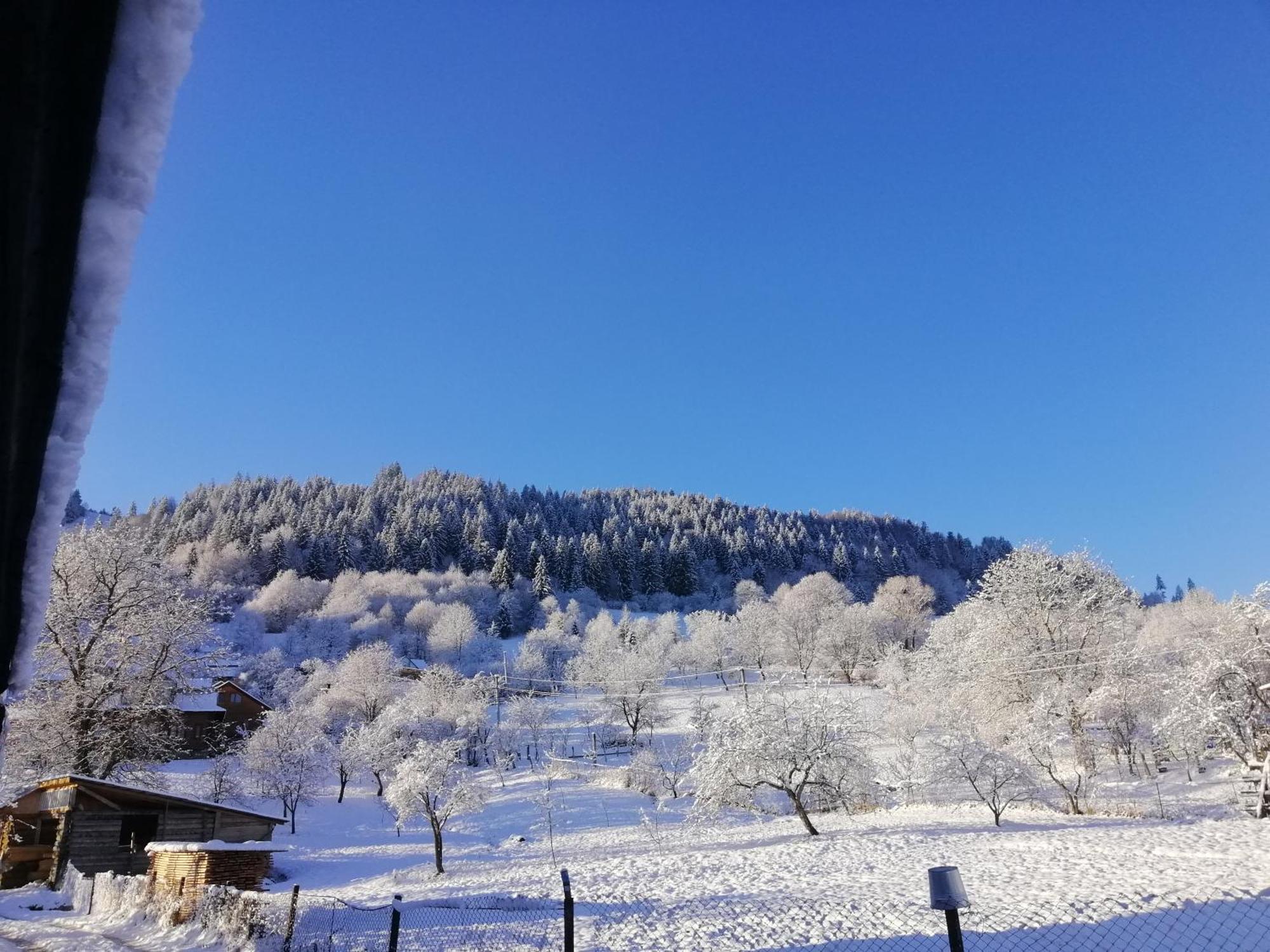 Анничка Villa Khorotseve Luaran gambar